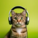Música para Gatos Dormidos & Secreto Ser Feliz Academy & Gato dormido - Ronroneando En Paz