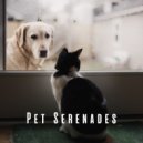 LoFi pet & Dreamy Pet Music & Calming Pet Care Masters - Lofi Pet Serenade ()