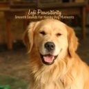 Dog Sleep Academy & Dog Music Library & Happy Music for Dogs - Pawsitive Vibe's Smooth Sounds