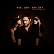 Phonique Ft. Rebecca - Feel What You Want